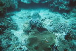 
Undersea