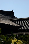 B1_DSC_7517