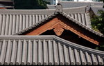 B1_DSC_7521