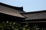 B1_DSC_7529