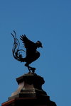 B2_DSC_7486