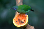 IMG_7330.CR2