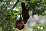 IMG_7345.CR2