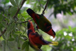 IMG_7346.CR2