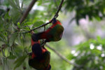 IMG_7347.CR2