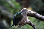 IMG_7354.CR2