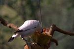 IMG_7356.CR2