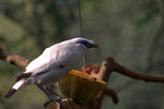 IMG_7360.CR2