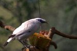 IMG_7361.CR2