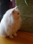 DSC00023