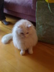 DSC00025