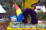 IMG_8222.CR2