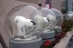 IMG_8682.CR2