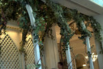 IMG_9270.CR2