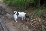 IMG_7129.CR2