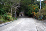 IMG_7131.CR2
