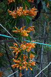 IMG_7134.CR2