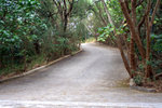 IMG_7142.CR2