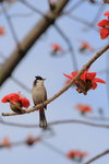 IMG_0447