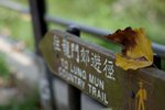 DSC03199_1__1_