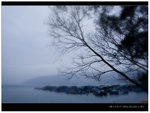 DSC03344r