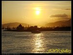 IMG_0301