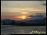 IMG_0317