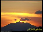 IMG_0329