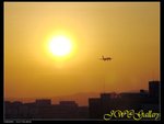 DSC00266