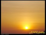 DSC00271