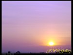 DSC00272