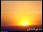 DSC00273