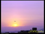 DSC00275