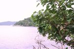 IMG_0171