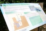 IMG_0180