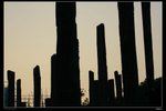 IMG_2478