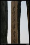 IMG_2480