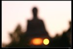 IMG_2533