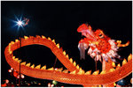 Web_MidAutum_Fanling_05