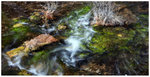 201102_PearlShoal_05