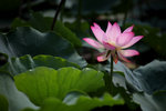 web_TungKun_04