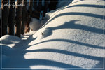 Snow_village_01