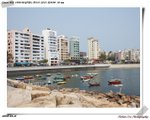 IMG_3836