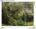 IMG_3861