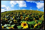 KEL_7969