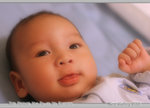 BB 66 Day 12