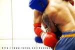 DSC08404