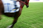 DSC02029