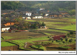 IMG_0955a