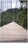 
alishan095